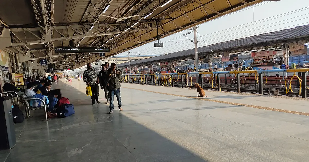 Ahmedabad station Food for lunch 