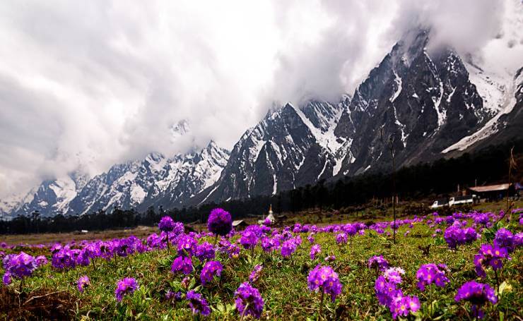 North Sikkim, Tourism Sikkim